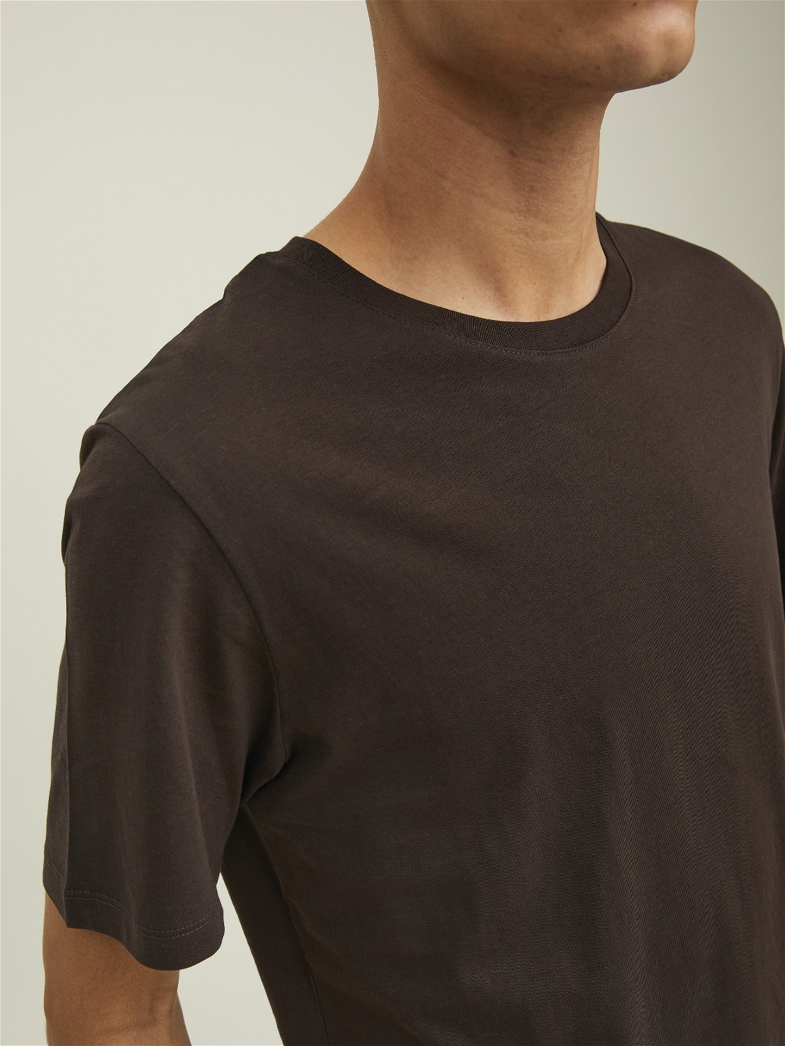 Jack & Jones Standard Fit O-Neck T-Shirt -Mulch - 12156101