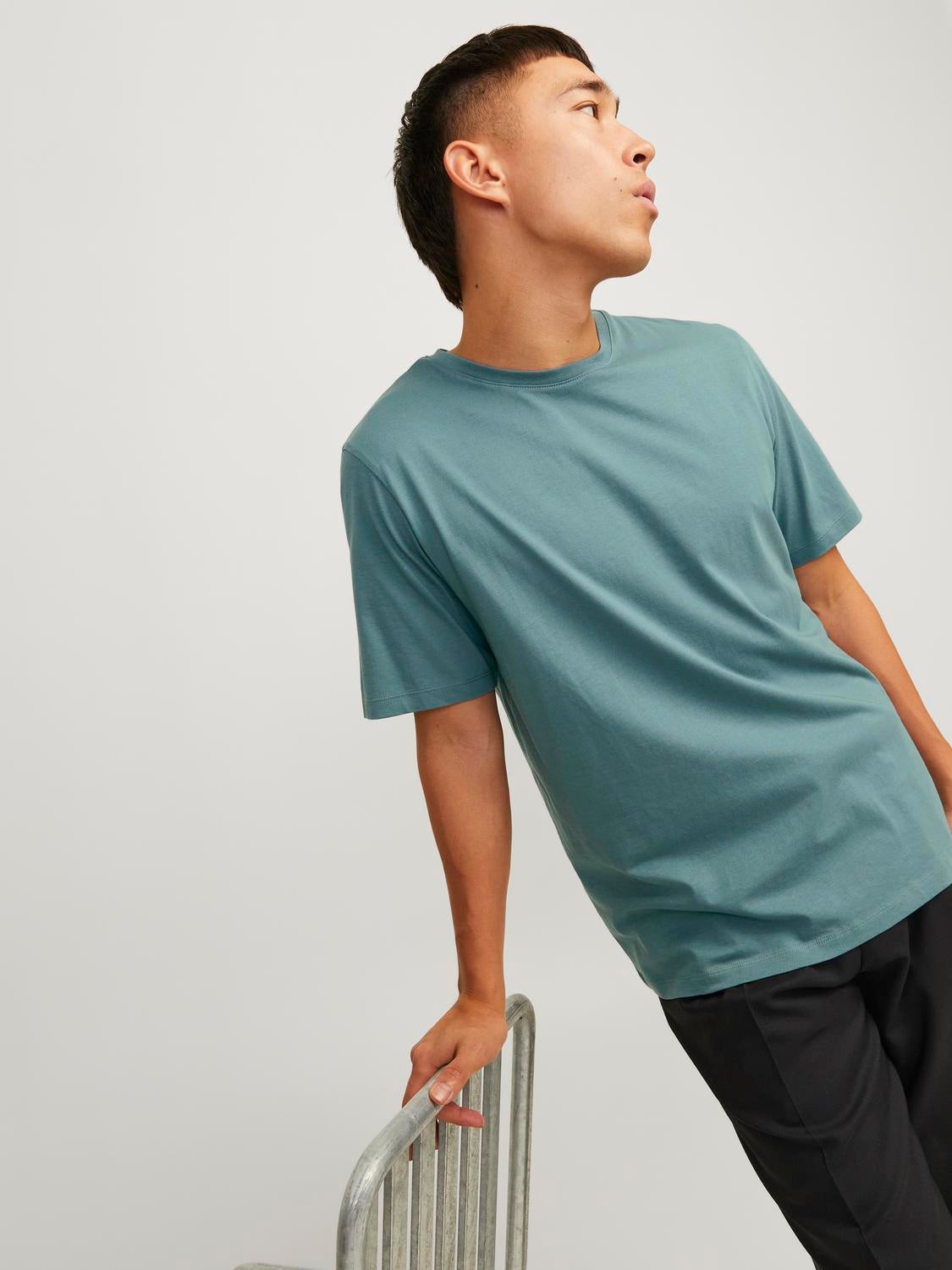 Standard Fit O-Neck T-Shirt | Jack & Jones