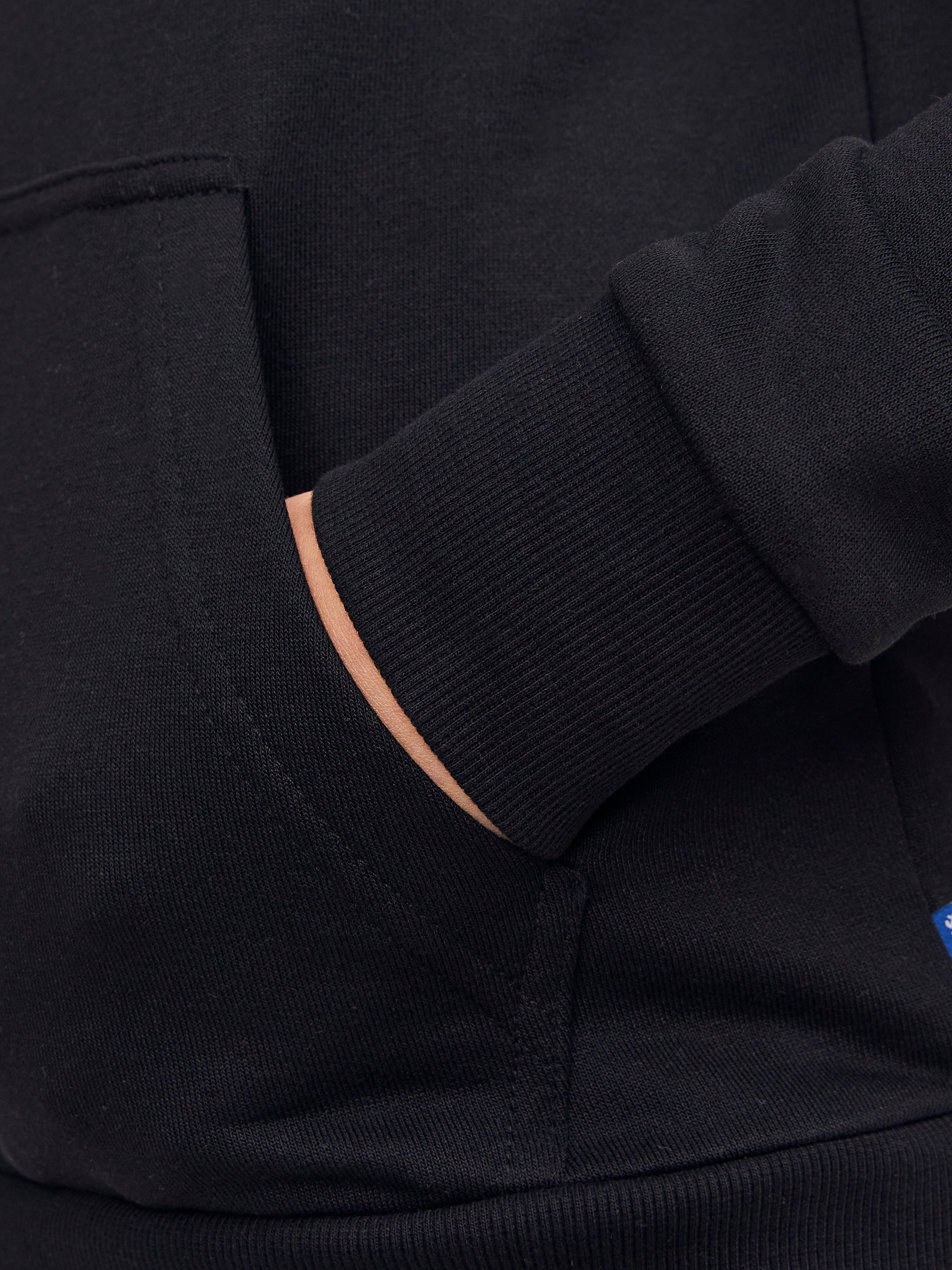 Chandail ouaté à capuchon Coupe régulière | Jack & Jones