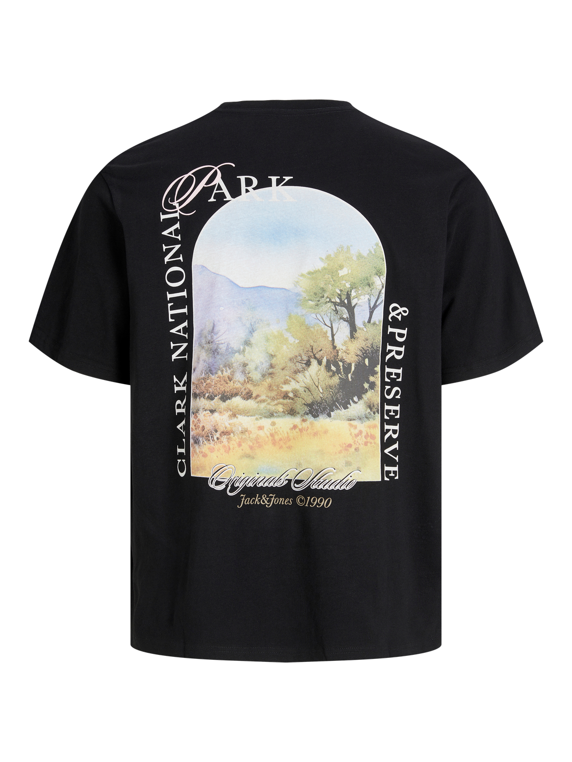 Loose Fit T-Shirt | Jack & Jones