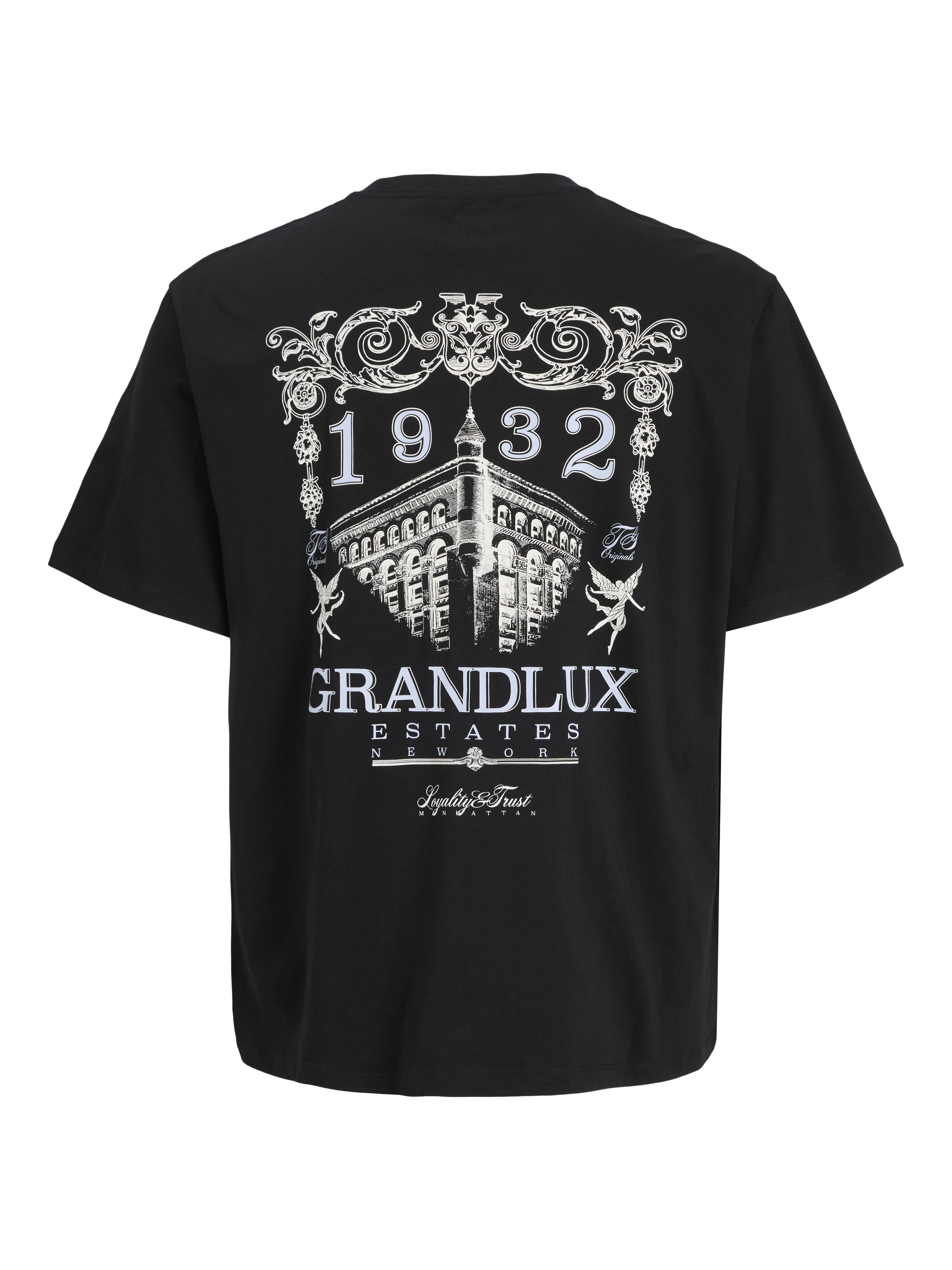 Loose Fit T-Shirt | Jack & Jones