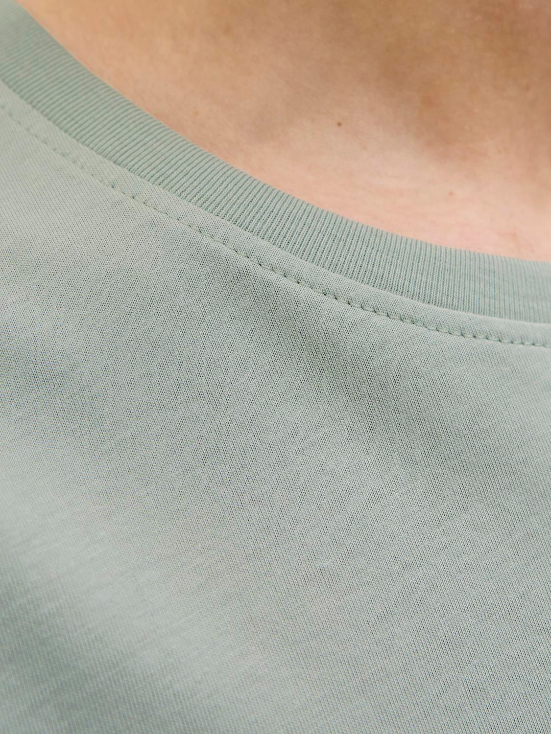 Standard Fit Crew neck T-Shirt | Jack & Jones