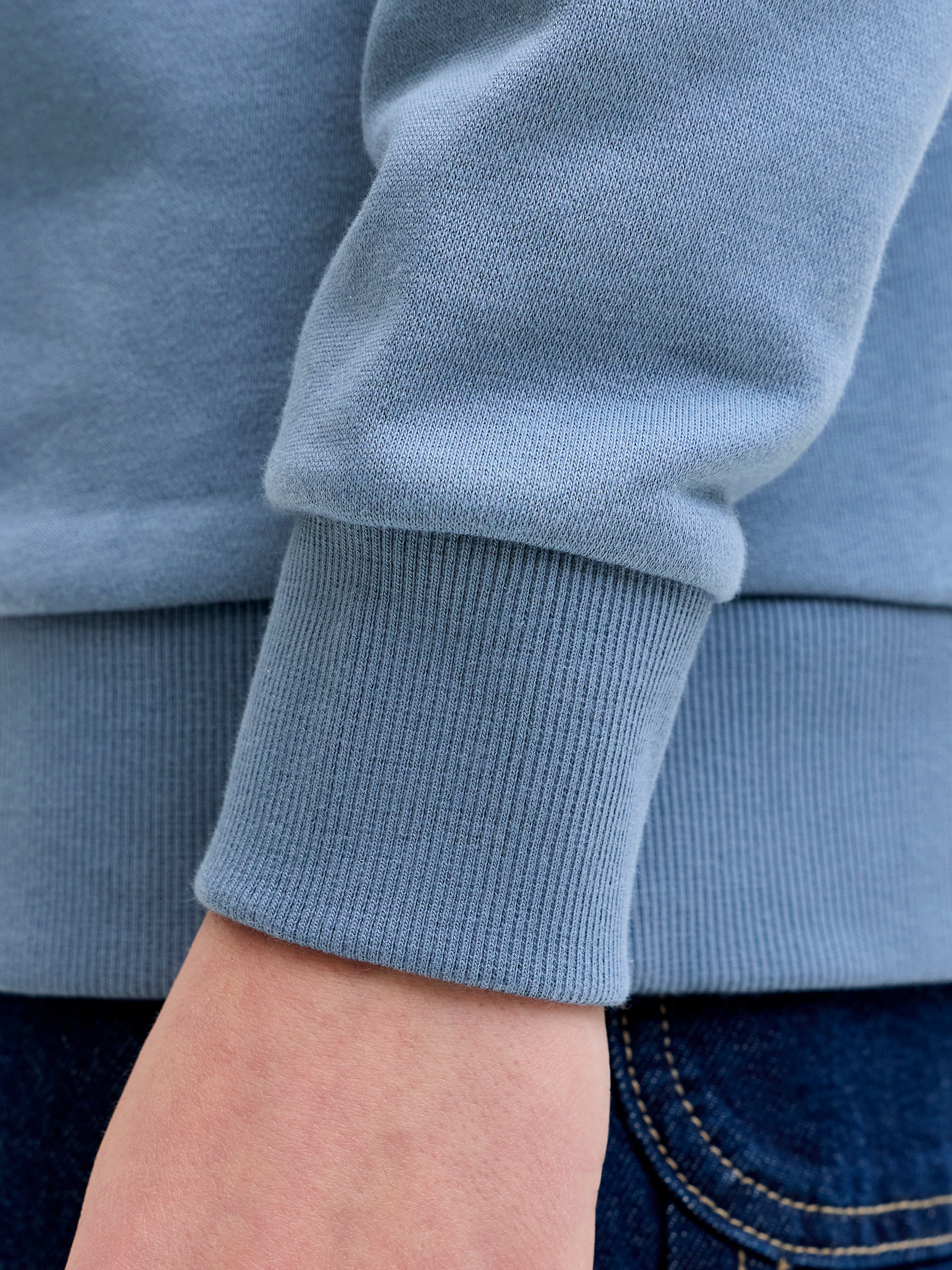 Regular Fit Sweatshirt | Jack & Jones