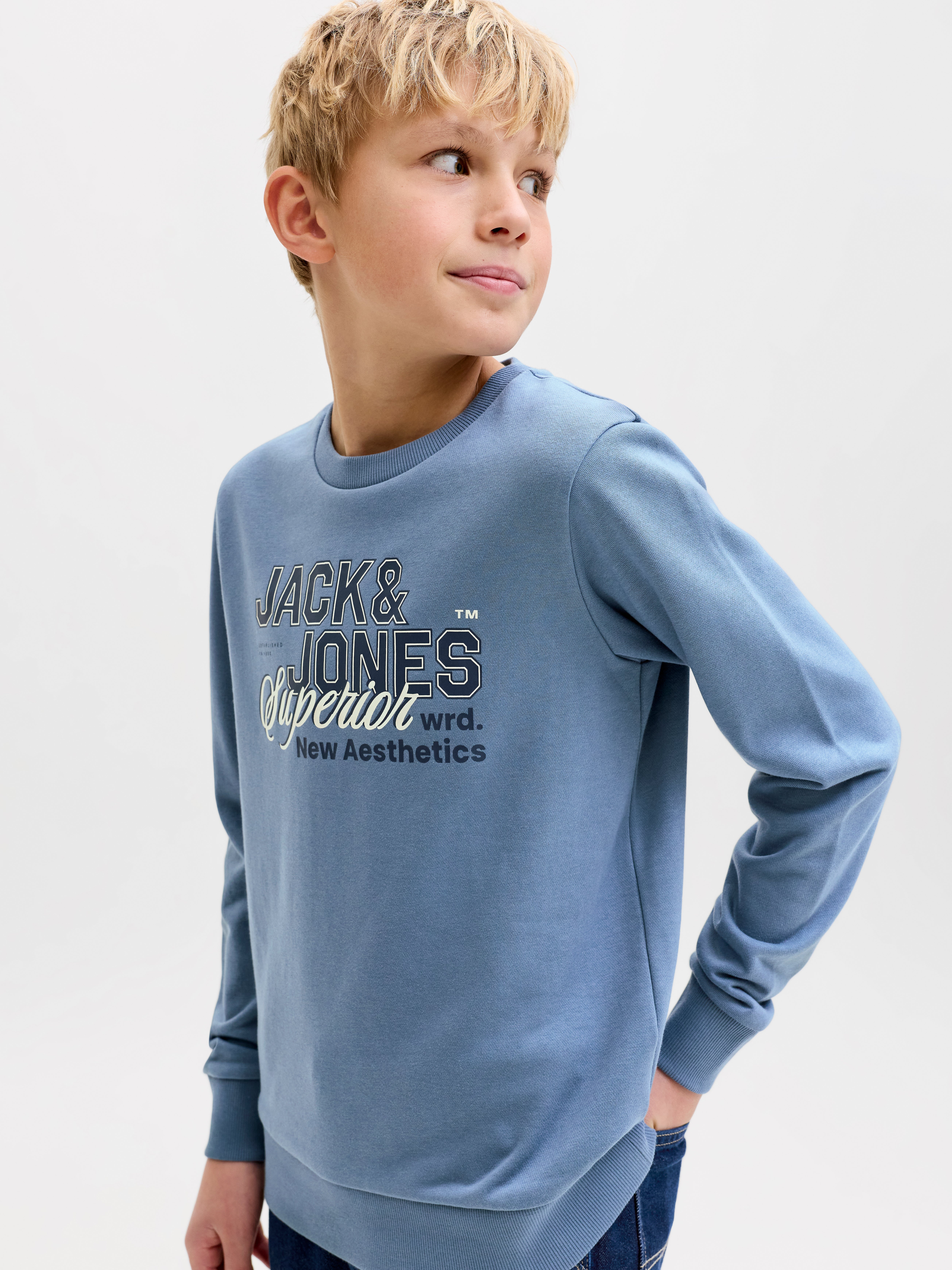 Regular Fit Sweatshirt | Jack & Jones
