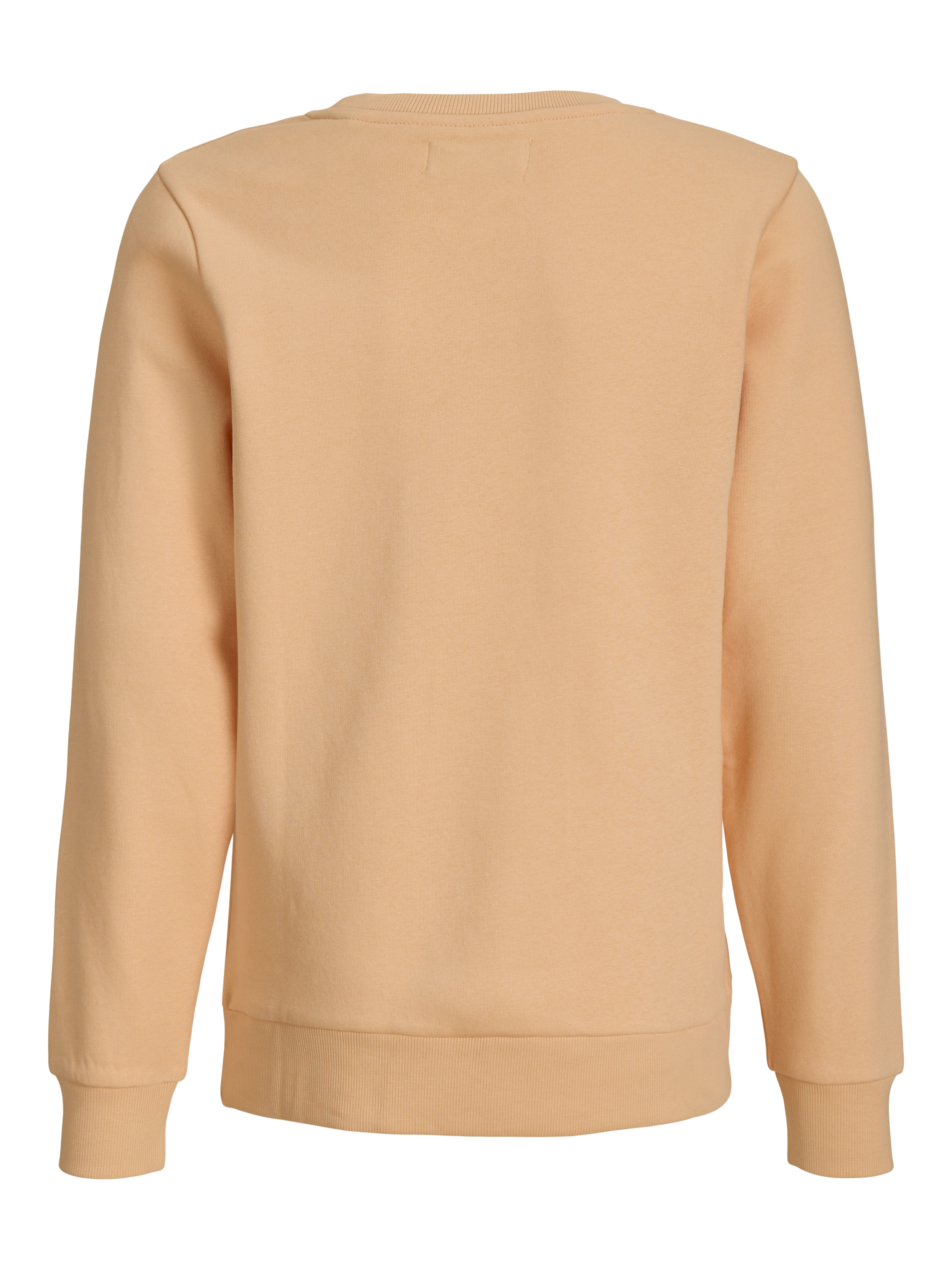 Regular Fit Sweatshirt | Jack & Jones
