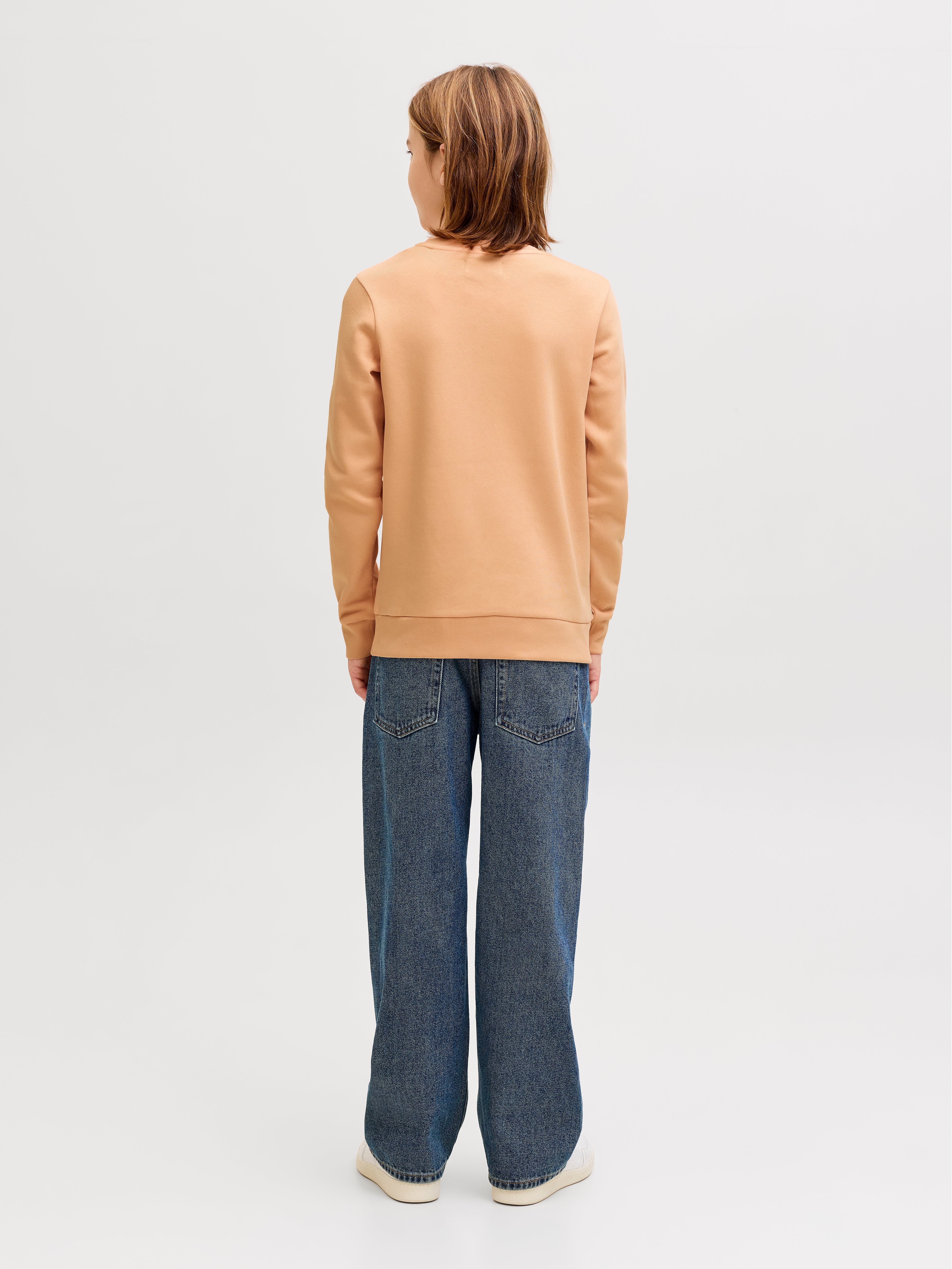 Regular Fit Sweatshirt | Jack & Jones