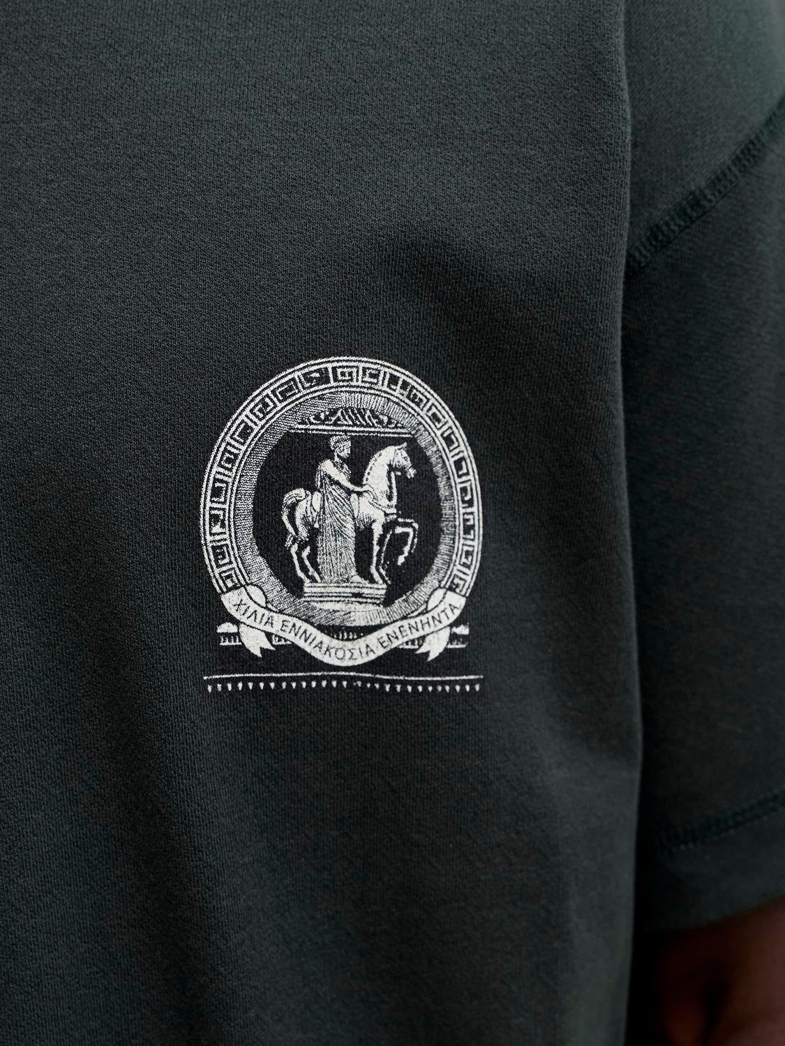 Regular Fit T-Shirt | Jack & Jones