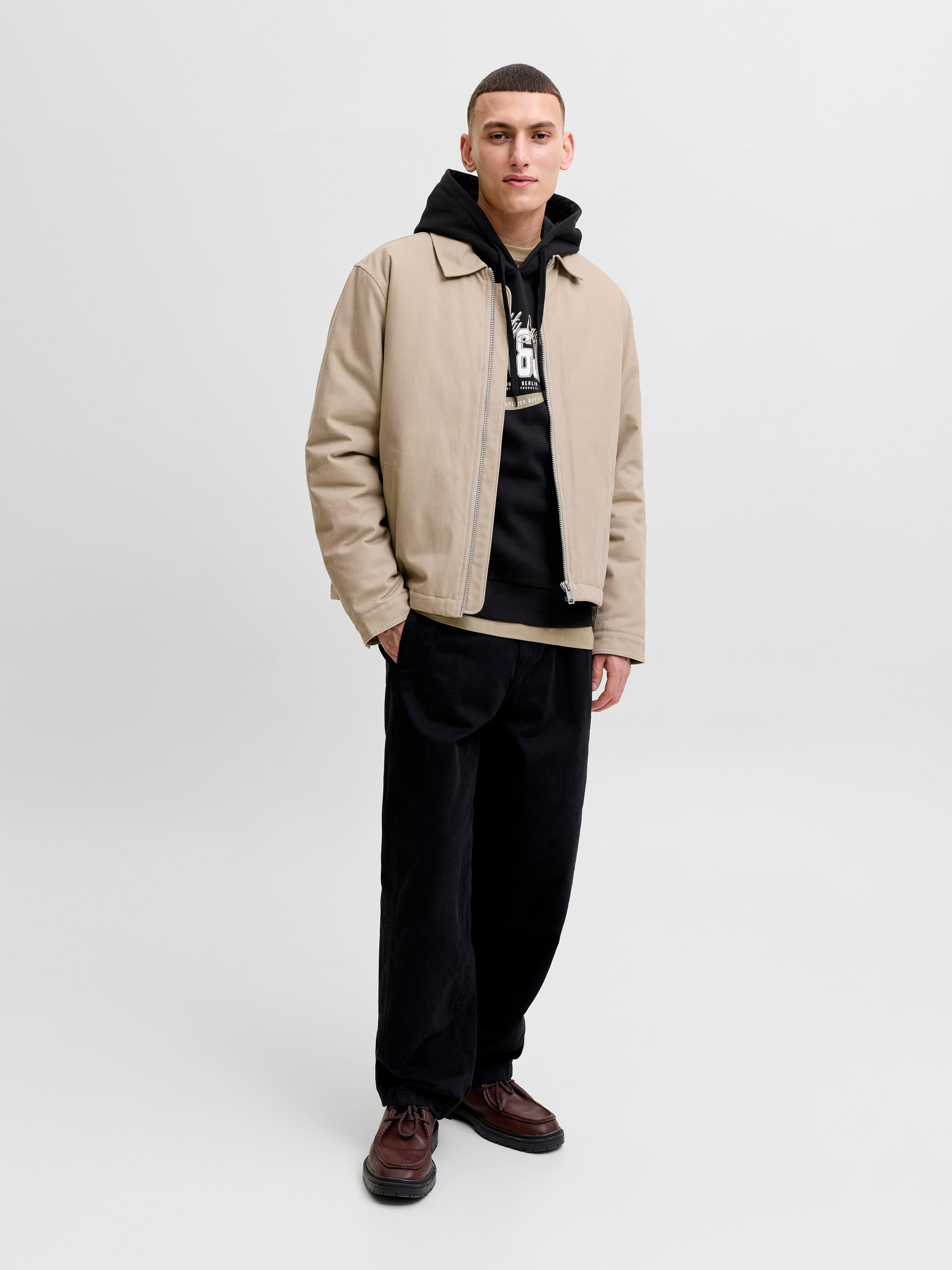 Chandails ouatés Coupe régulière Chandail ouaté à capuchon Manches montées | Jack & Jones